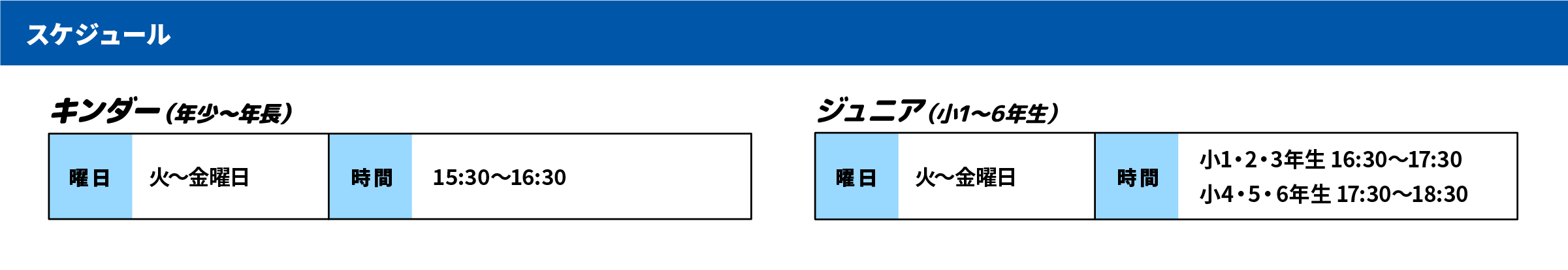 スケジュール